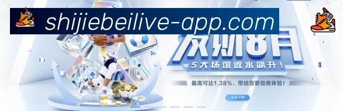 未来规划